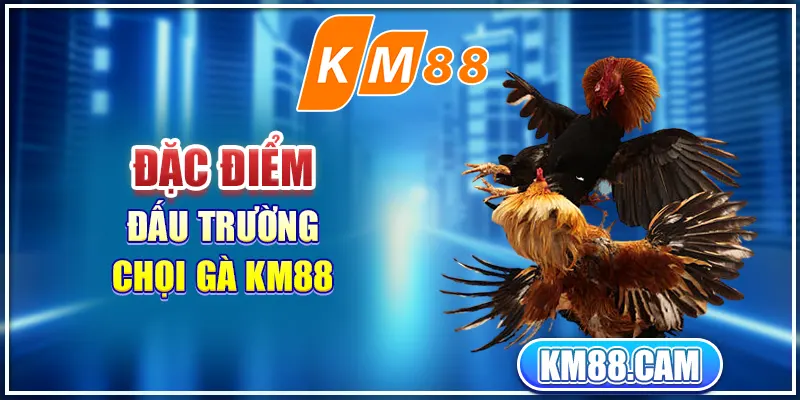 Đặc điểm đấu trường chọi gà KM88