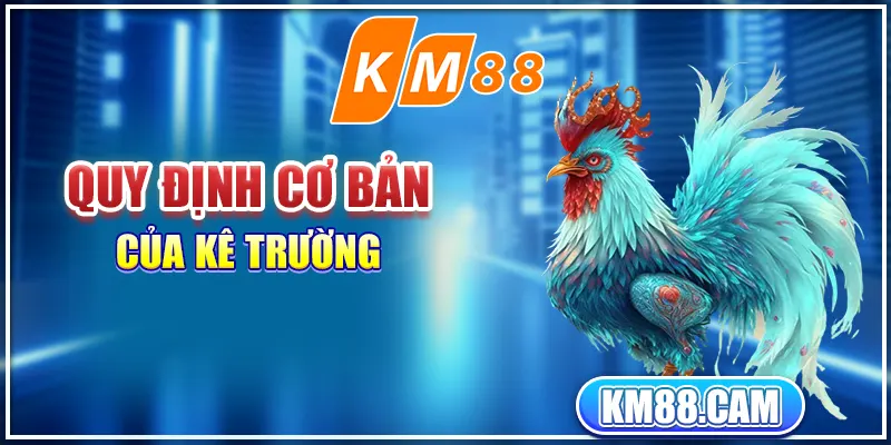 Quy định cơ bản của kê trường